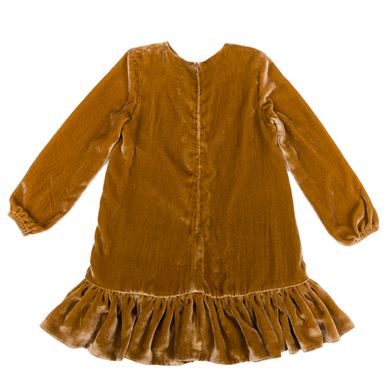 Brown velvet dress with trim for a girl