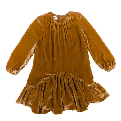 Brown velvet dress with trim for a girl